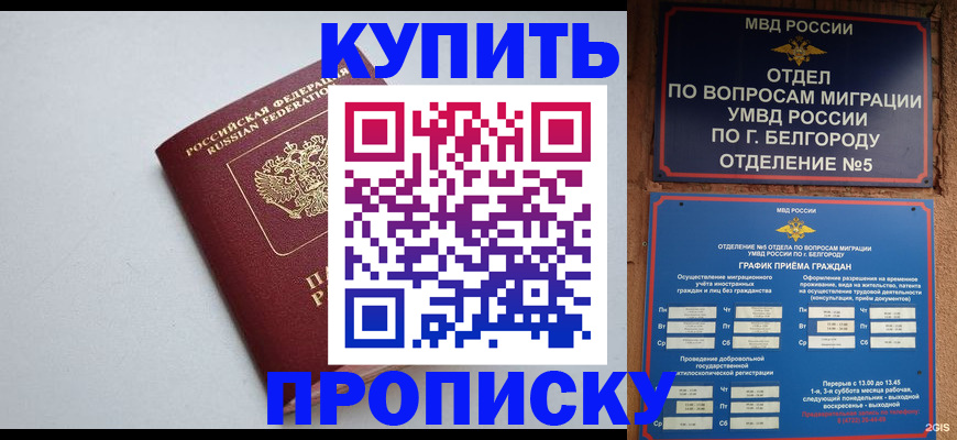 прописка регистрация в Электрогорске
